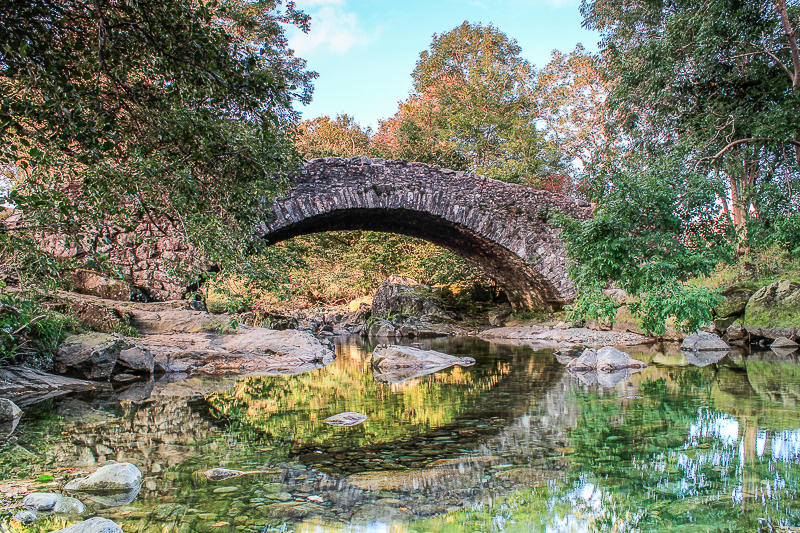 Doctor Bridge Doctor Bridge